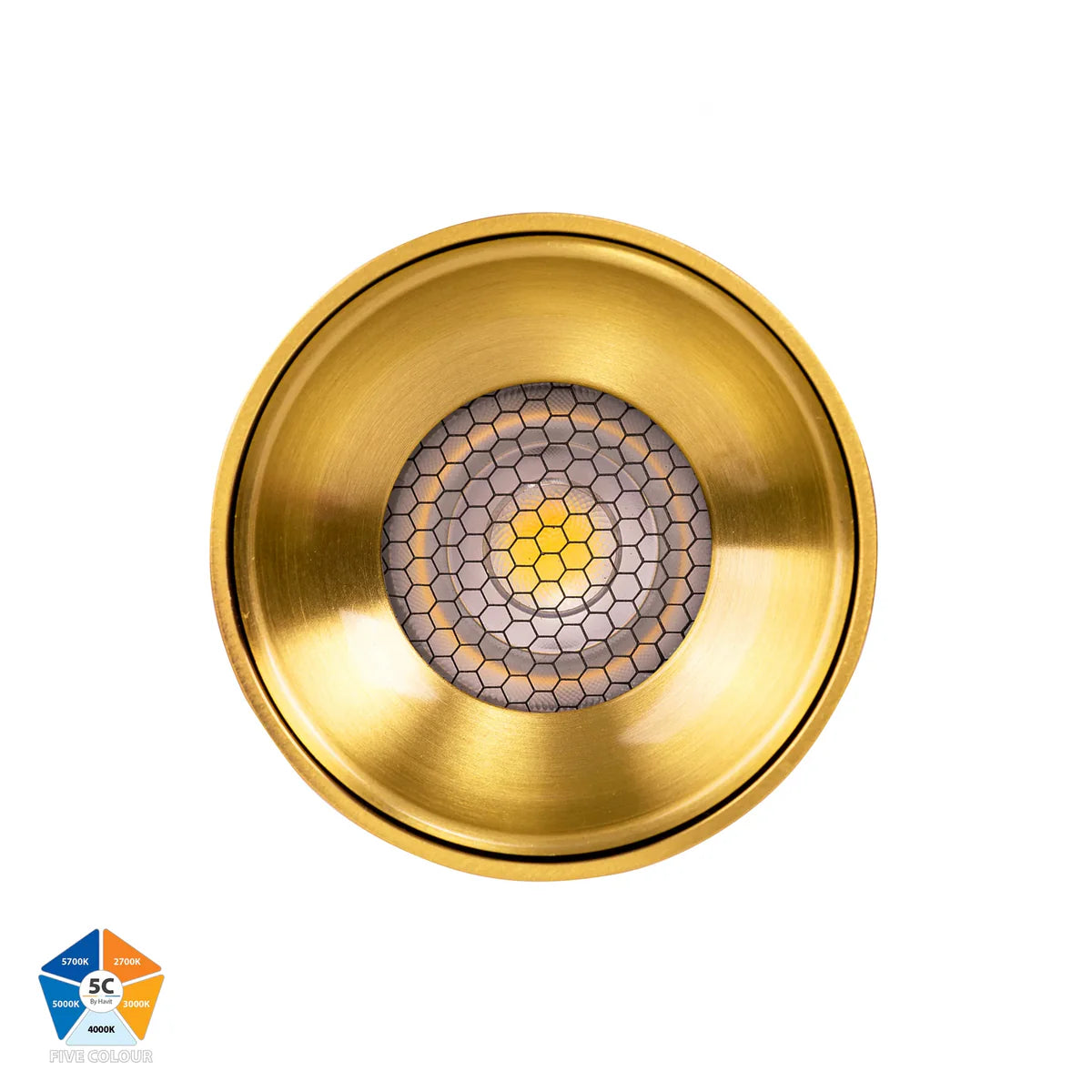 LED Can light