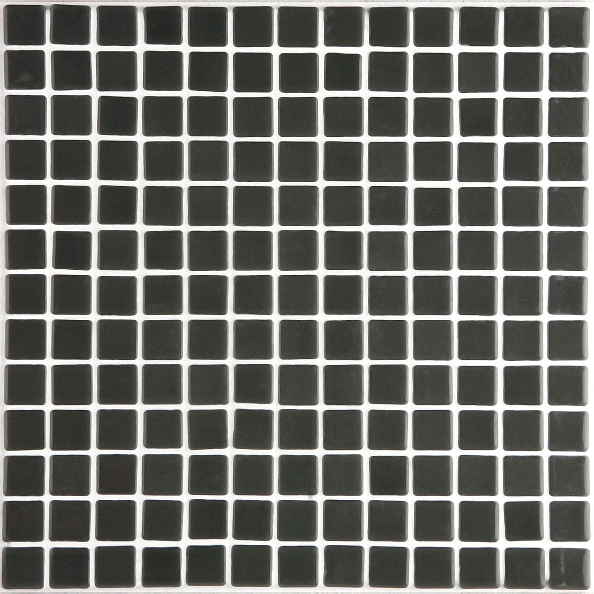 Lisa 59-B 25