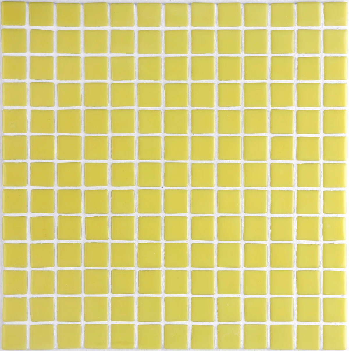 Lisa 54-C 25