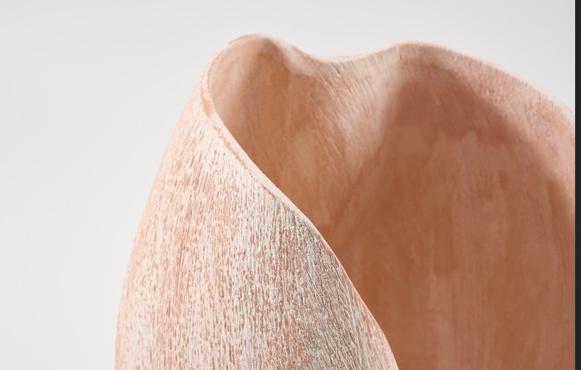 Nebula Deep Vase Salmon Brush