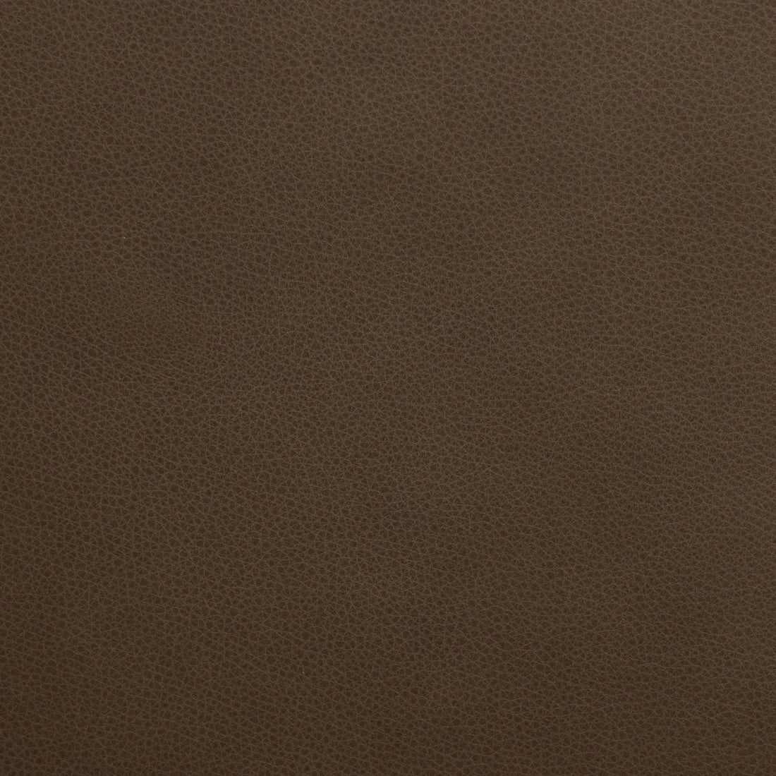 Ripple Dining Chair - Cacao Leather - Chocolate Oak
