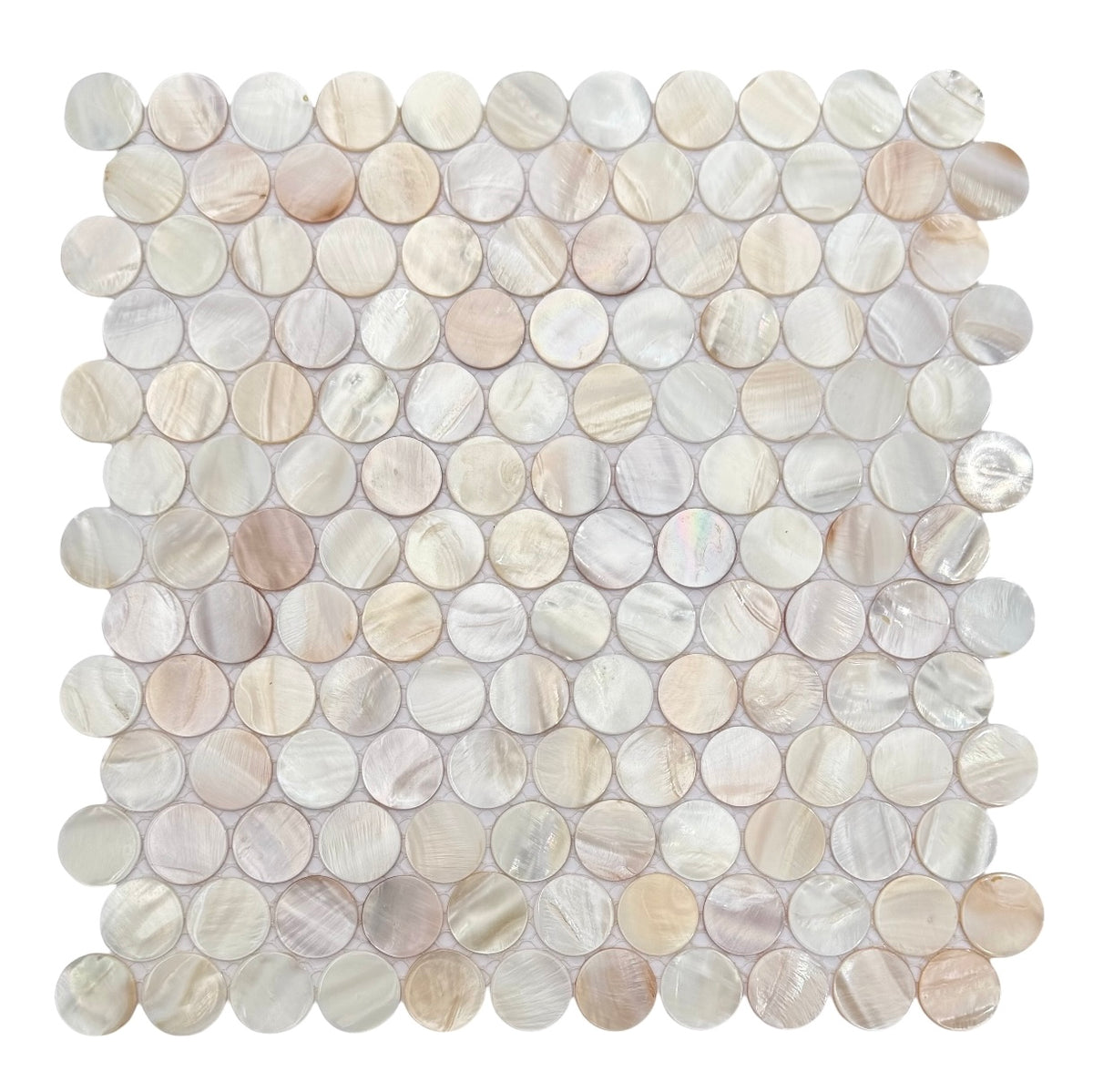 SEASHELL NATURAL PENNY 25 SHEETSIZE